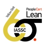 Lean Six Sigma Yellow Belticon