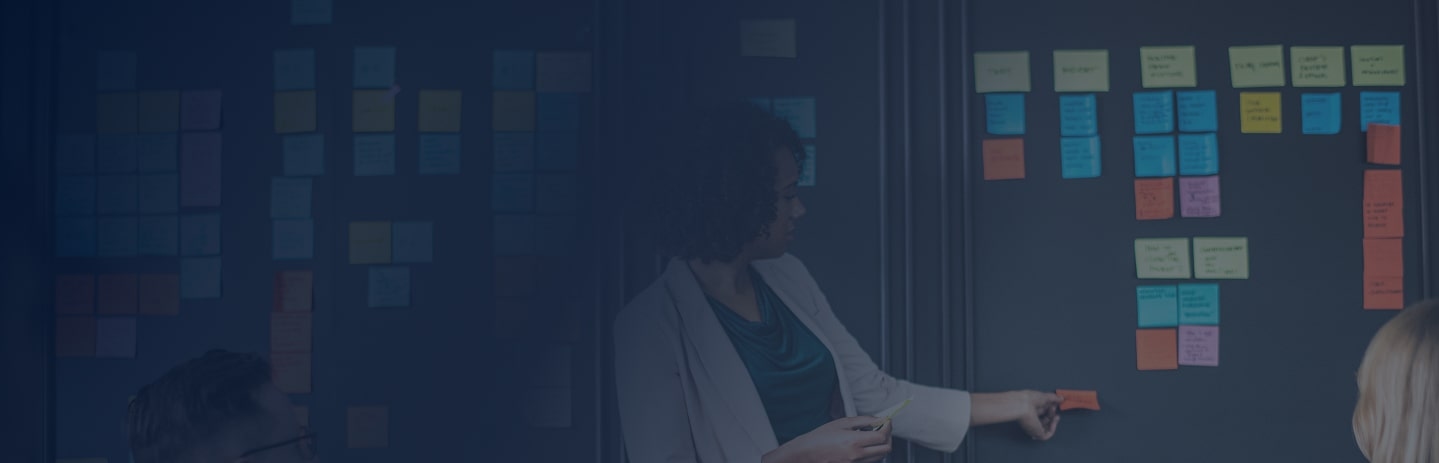 Agile Culture & Capability Development