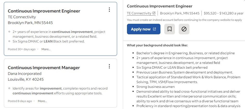 Continuous Improvement Manager