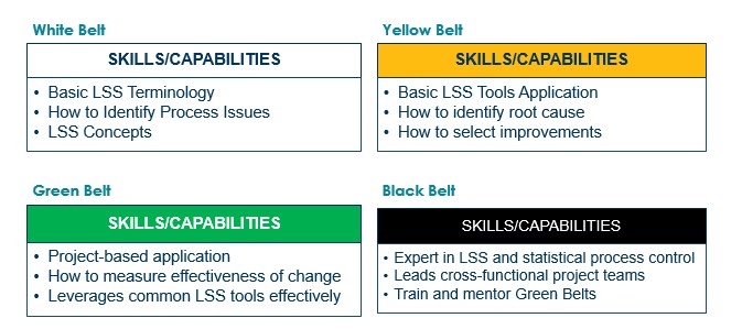 phases of Lean Six Sigma Master Black Belt Certification