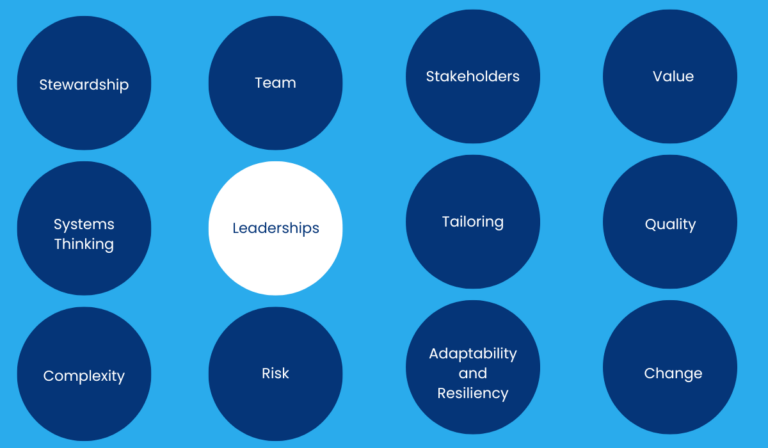 12 Principles of Project Management | PMBOK® 7th Edition